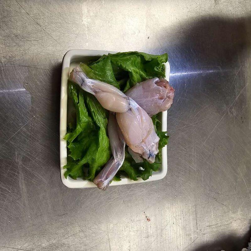 Frog Leg