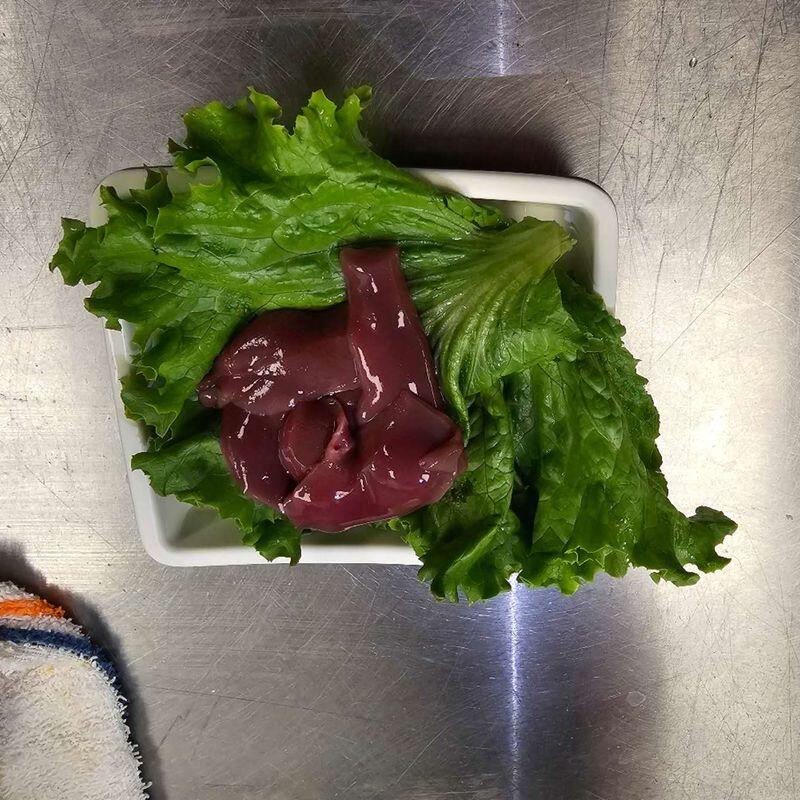 Pork Kidney