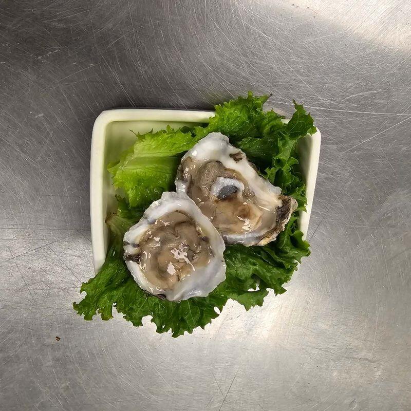 Oyster (3 pcs)