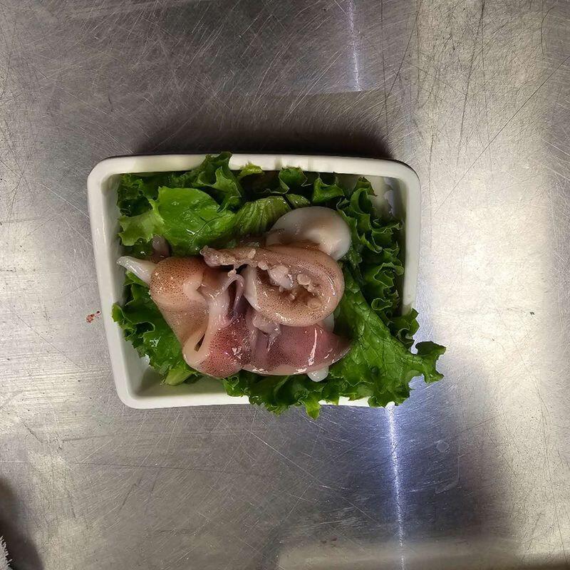 Squid