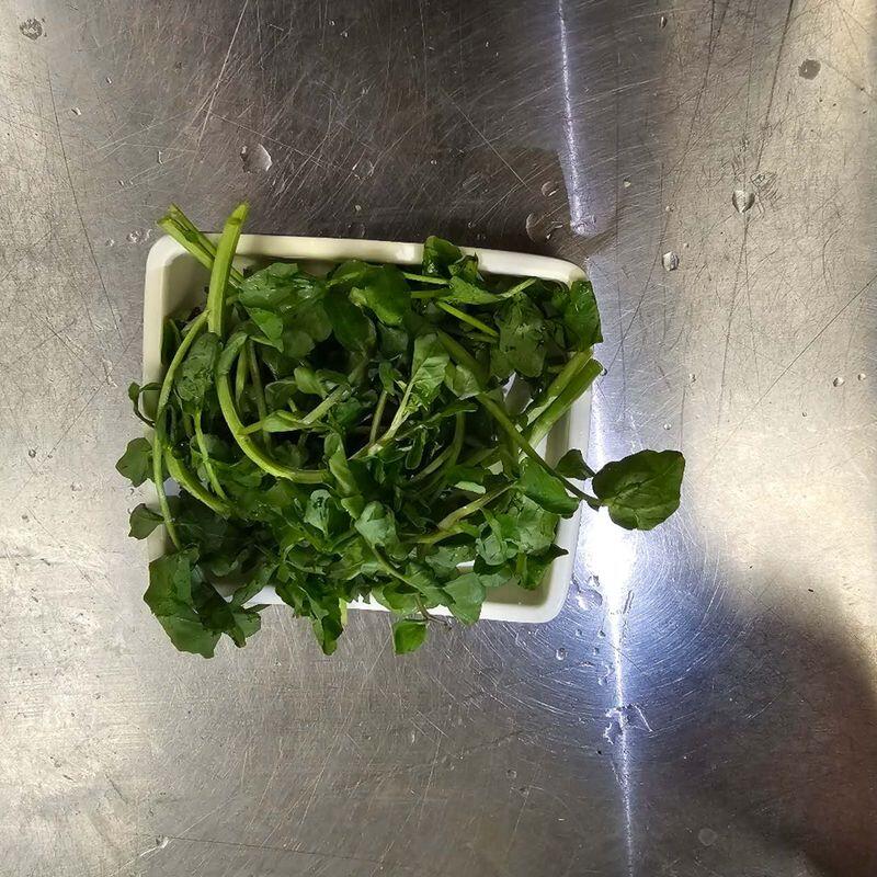 Watercress